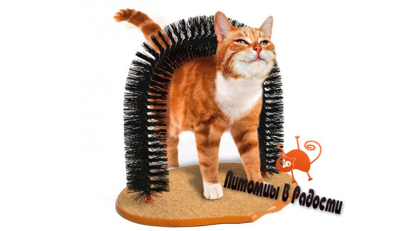Каталог товаров для кошек купить в интернет-магазине 